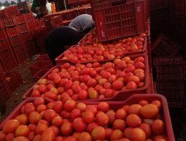 POMEGRANADE